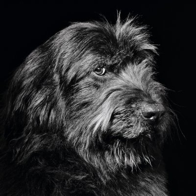 Buckley
