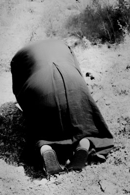 The Prostrate II