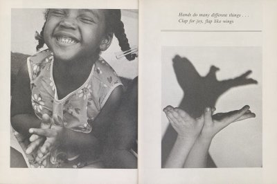 The Wonder of Hands