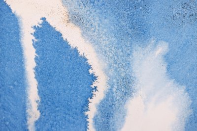 Adaptive Radiation #1 (Hanford Reach, Washington, USA, 5.23.2025, River Water, Reference Woman, Reducing Agent) (detail)