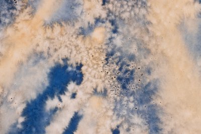 Adaptive Radiation #1 (Hanford Reach, Washington, USA, 5.23.2025, River Water, Reference Woman, Reducing Agent) (detail)