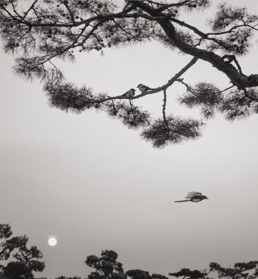 Seoul