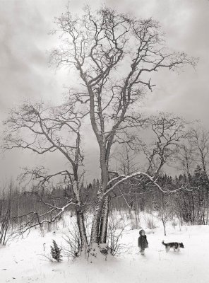 Finström