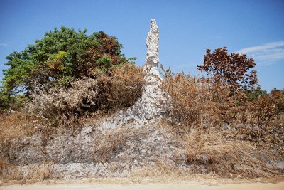 Termitaries in Lualaba Province, DRC