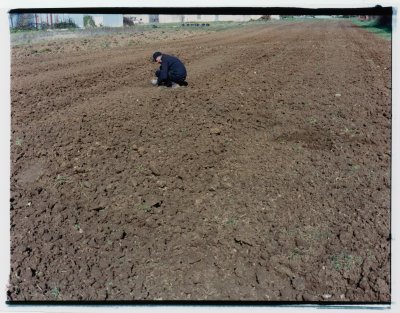 Plowing the soil so that it dries before spring sowing (Remi)