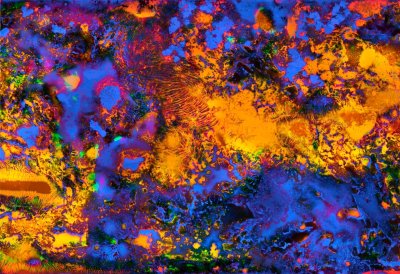 Vitreous Body, Préfecture (detail)