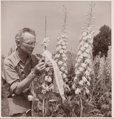 Self portrait, Umpawaug Farm, Connecticut, United States