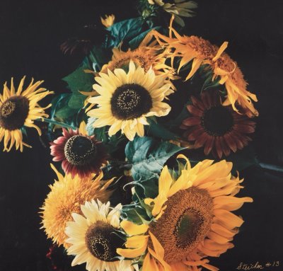 Bouquet of Sunflowers