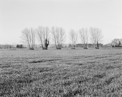 Maillane