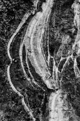 Mapping the Invisible – Traces of DNA